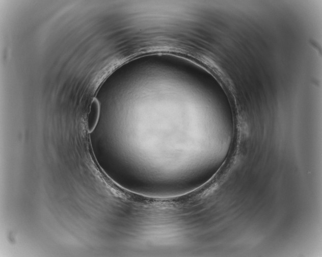 X0000101160993200807071153