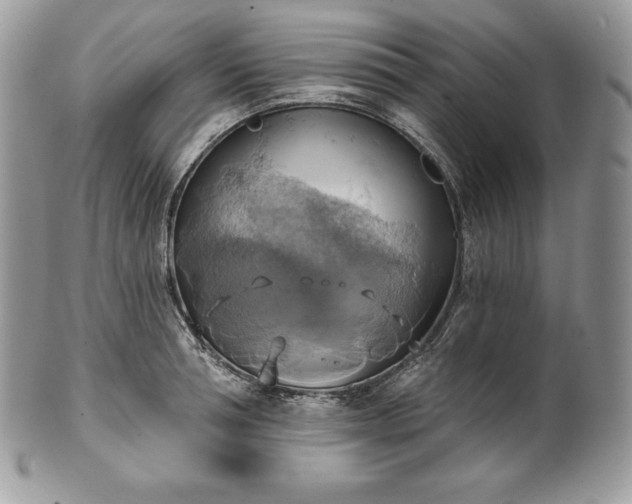 X0000101160994200807071153