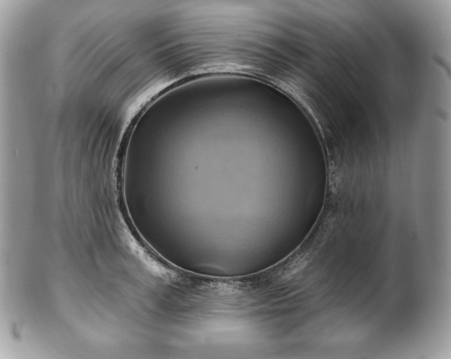 X0000101160995200807071153