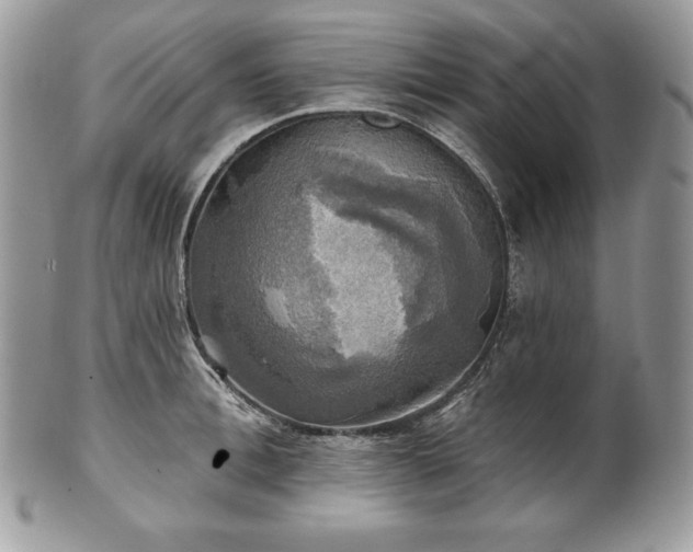 X0000101160996200807071153