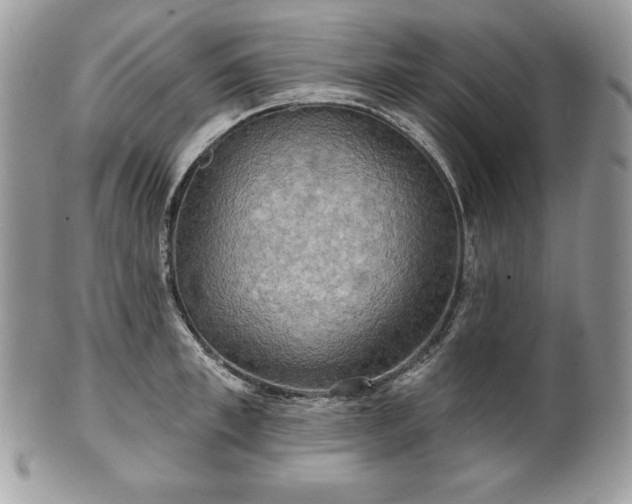 X0000101160997200807071153