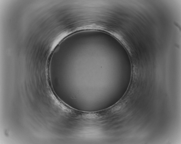 X0000101160998200807071153