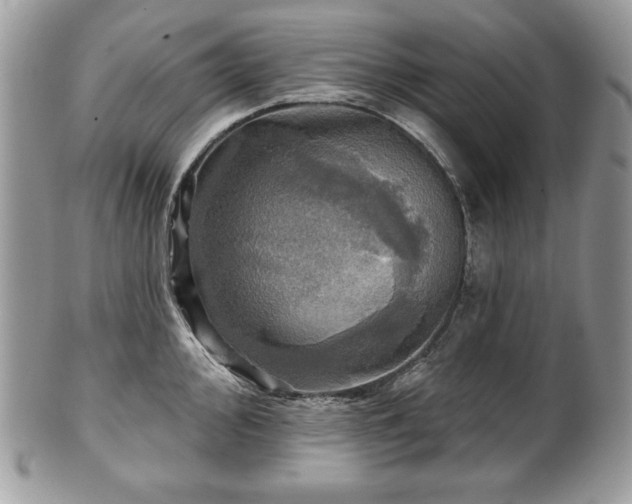 X0000101161000200807071153