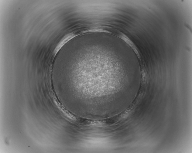 X0000101161002200807071153