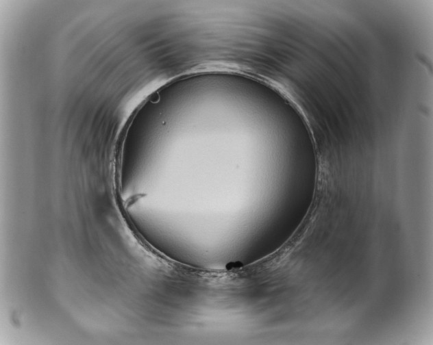 X0000101161003200807071153