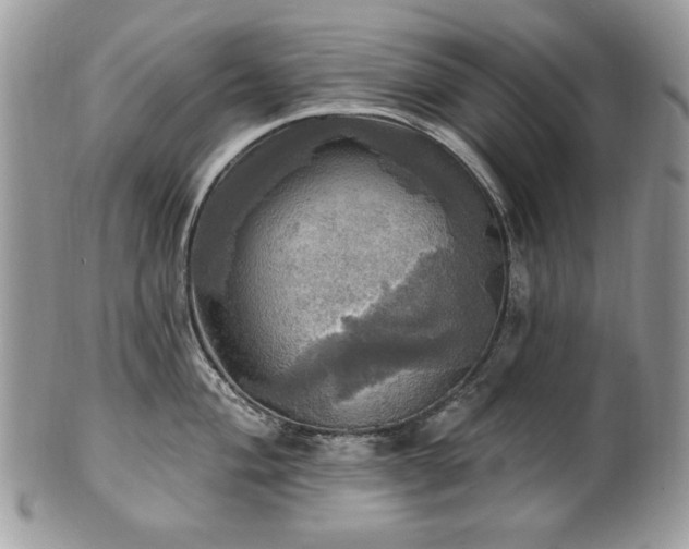 X0000101161004200807071153