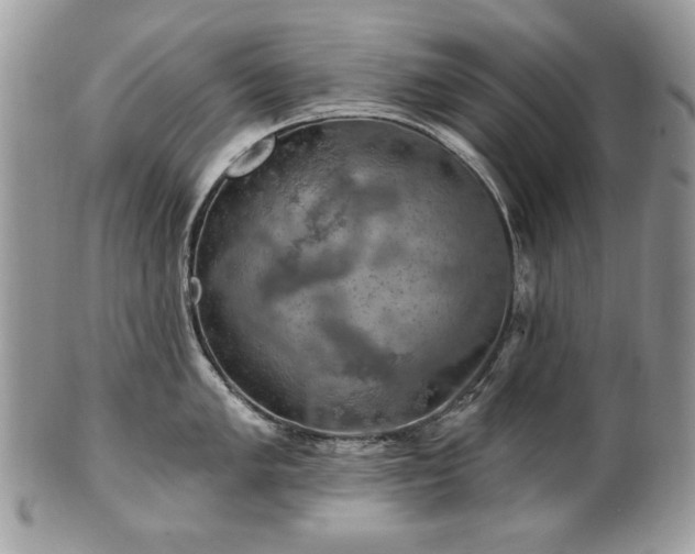 X0000101161005200807071153