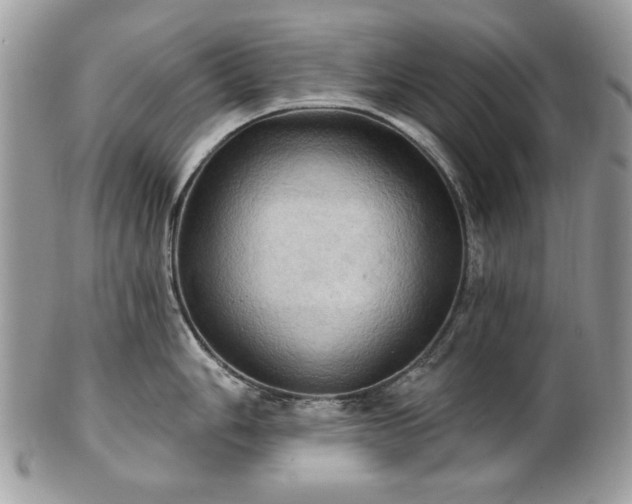 X0000101161006200807071153