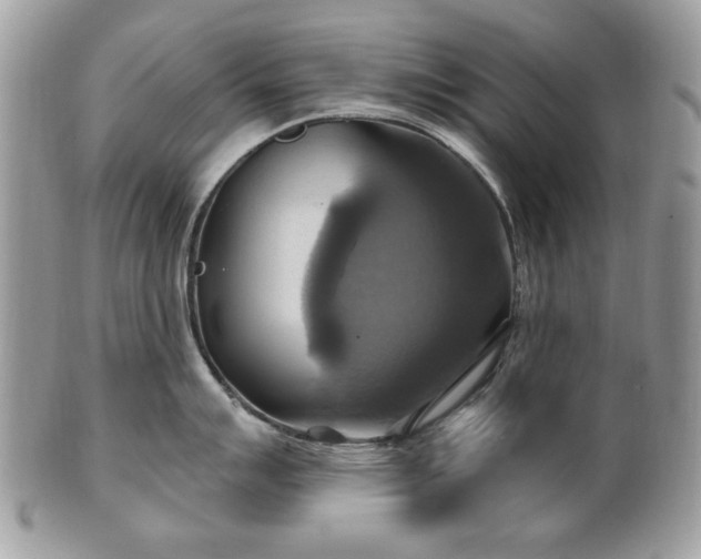 X0000101161007200807071153