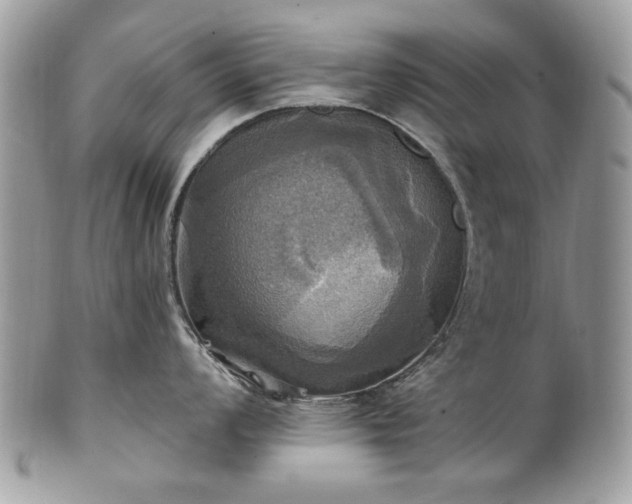 X0000101161008200807071153