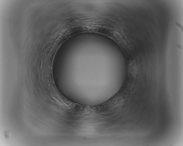 X0000101161009200807071152