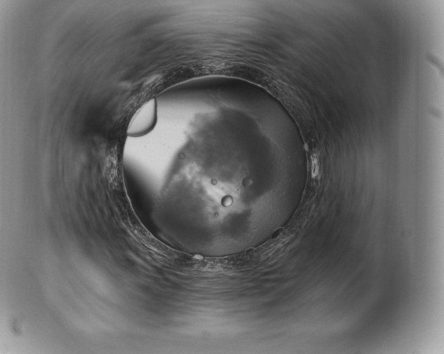 X0000101161011200807071152