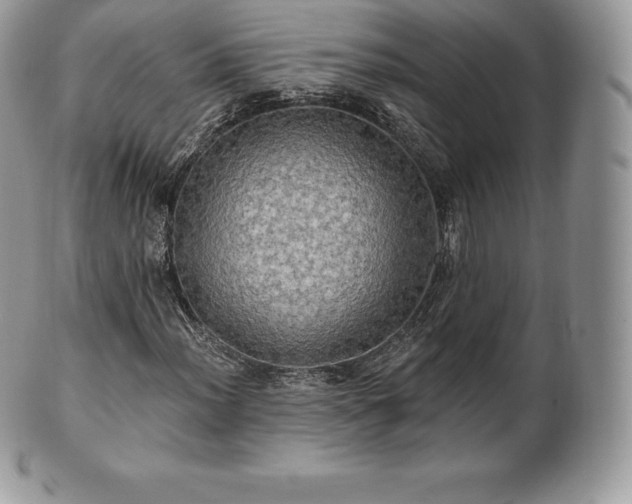 X0000101161012200807071152