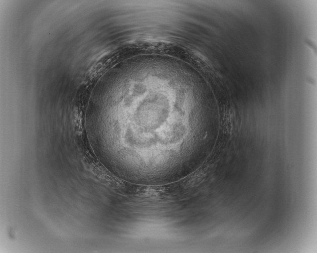 X0000101161013200807071152