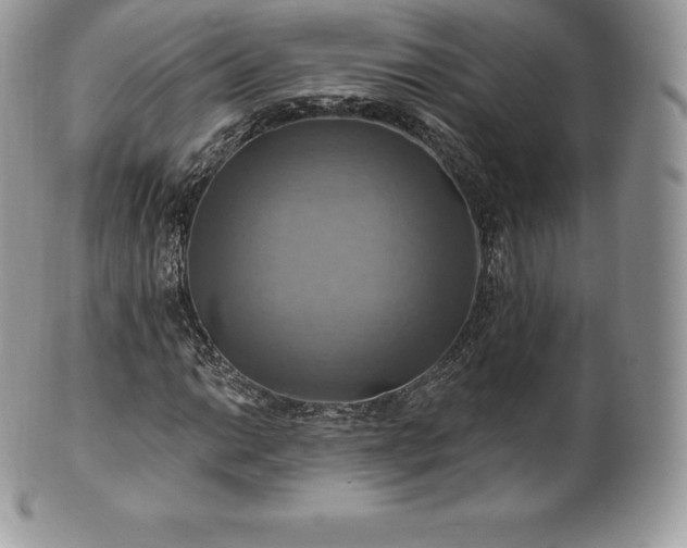 X0000101161014200807071152