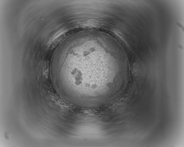 X0000101161015200807071152