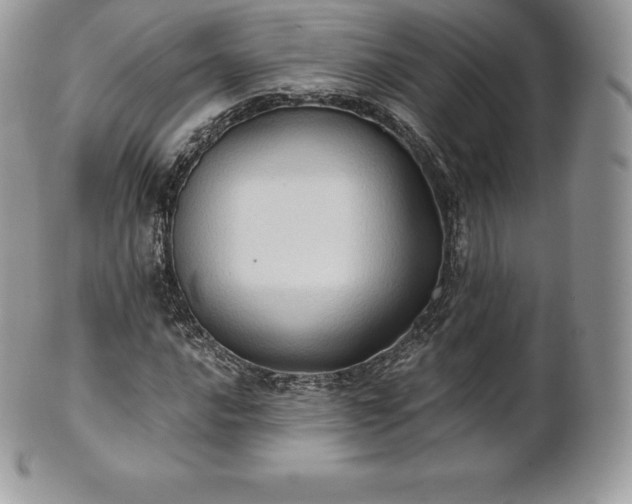 X0000101161016200807071152