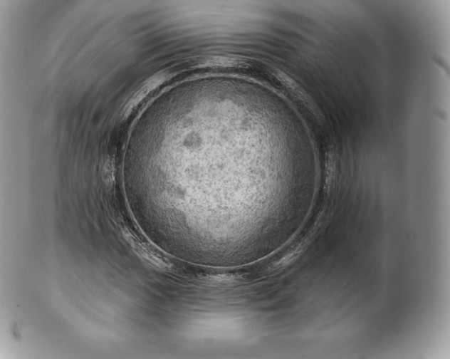 X0000101161017200807071152