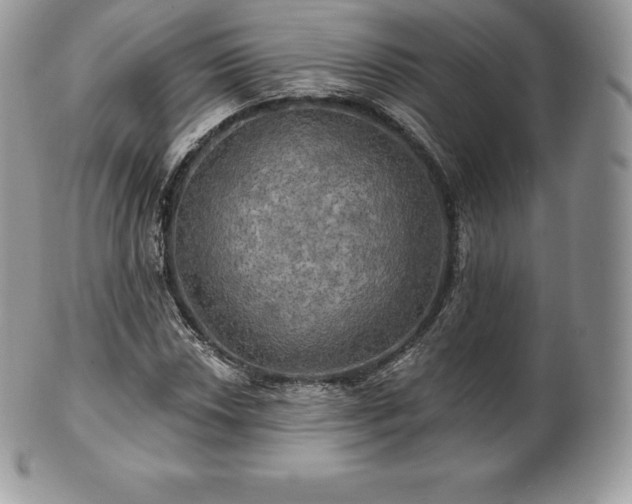 X0000101161018200807071152