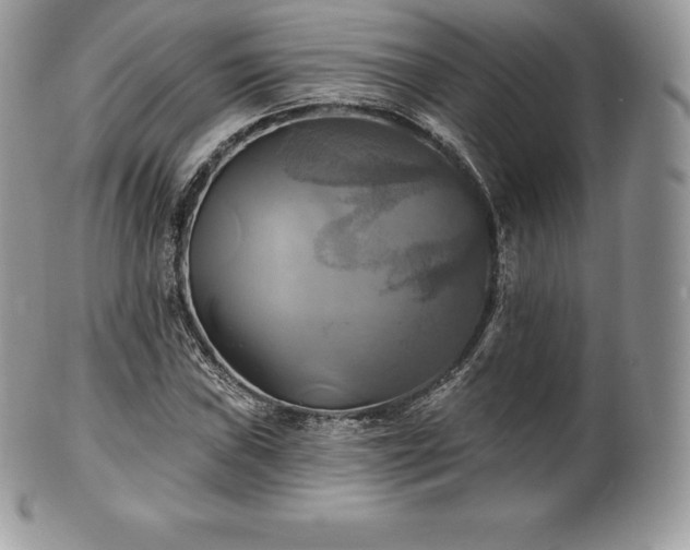 X0000101161019200807071152