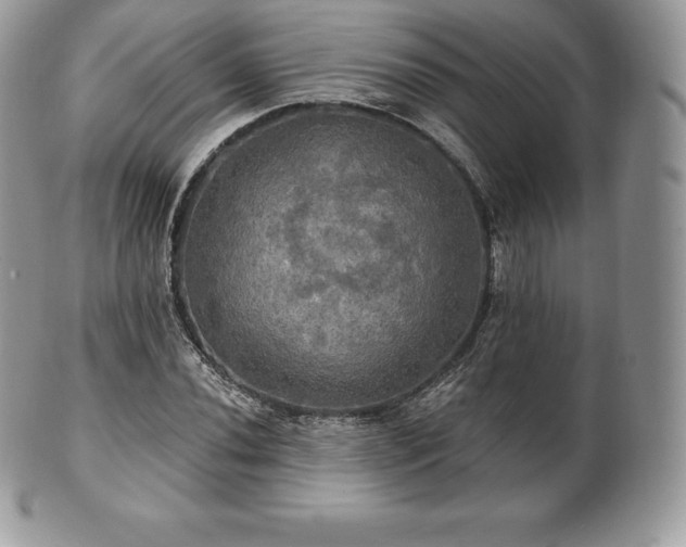 X0000101161020200807071152