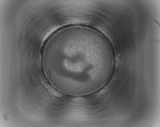 X0000101161021200807071152