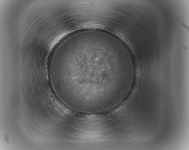 X0000101161022200807071152