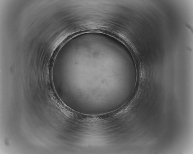 X0000101161023200807071152