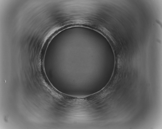 X0000101161024200807071152