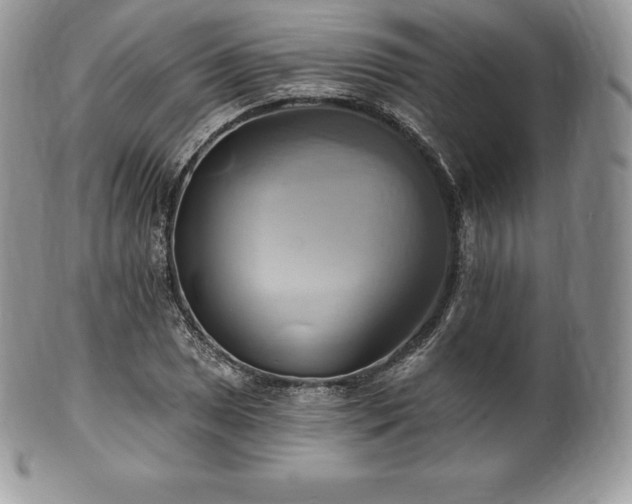 X0000101161025200807071153