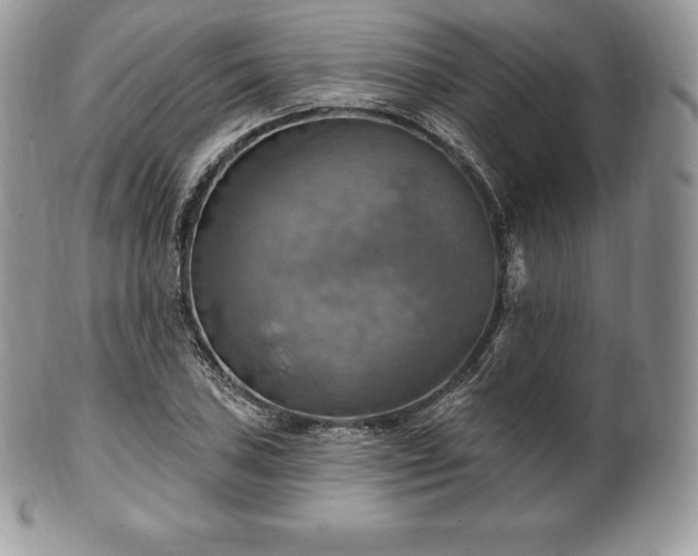 X0000101161027200807071153