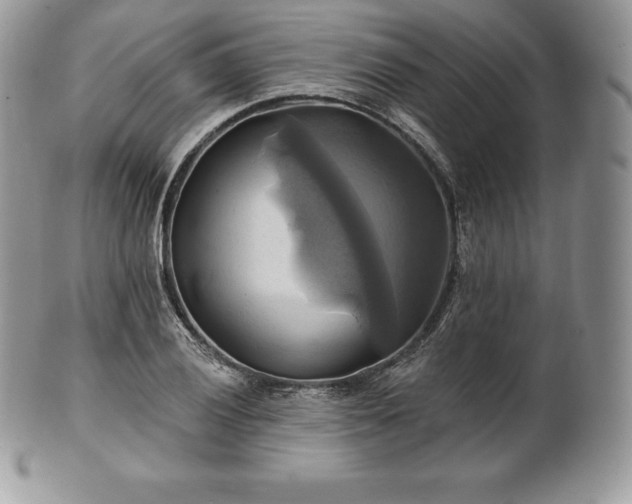 X0000101161028200807071153