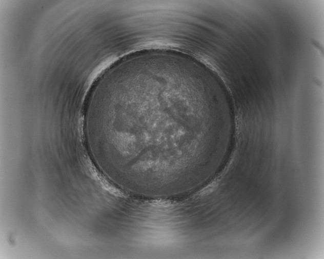 X0000101161029200807071153