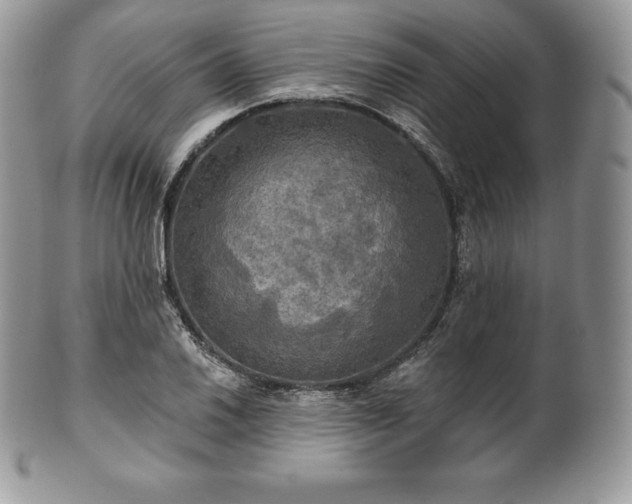 X0000101161030200807071153