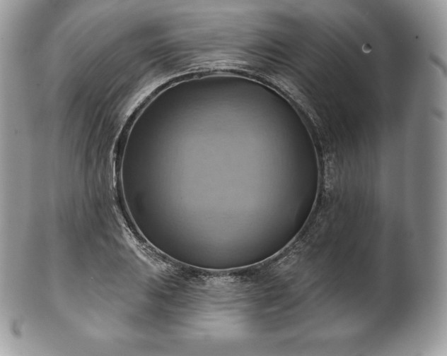 X0000101161031200807071153