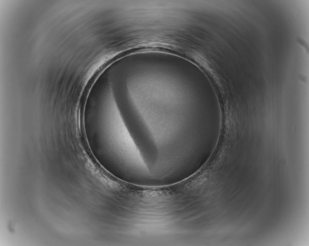 X0000101161032200807071153