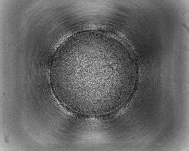 X0000101161033200807071153