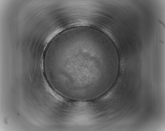 X0000101161034200807071153