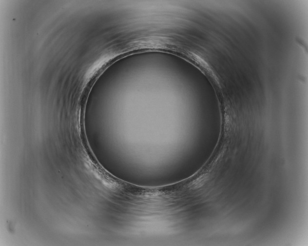 X0000101161035200807071153