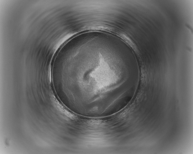 X0000101161036200807071153