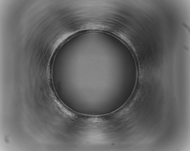 X0000101161037200807071153