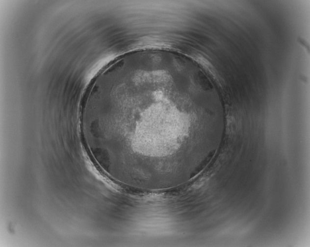 X0000101161038200807071153