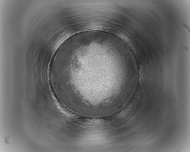 X0000101161039200807071153