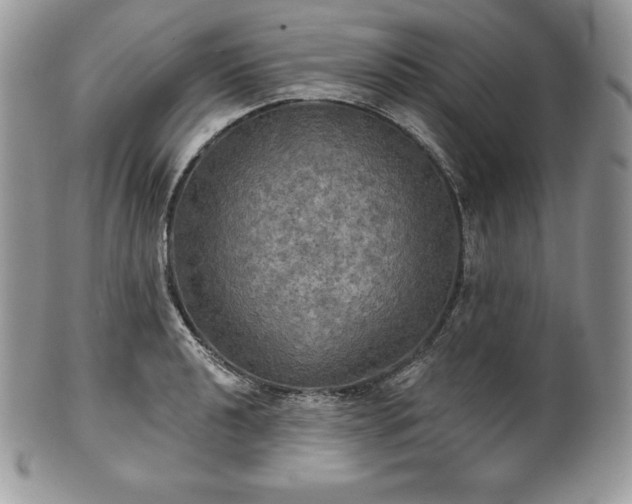 X0000101161040200807071153