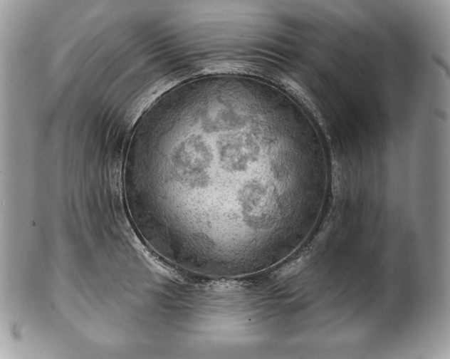 X0000101161041200807071153