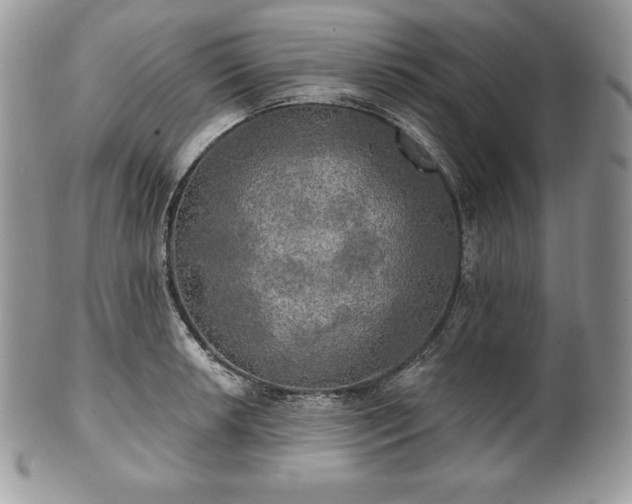 X0000101161042200807071153