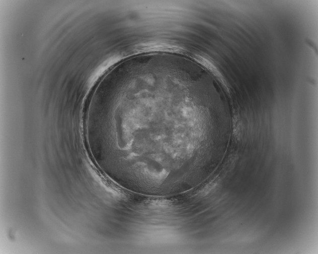 X0000101161043200807071153