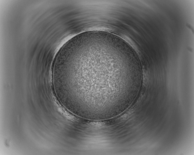 X0000101161044200807071153