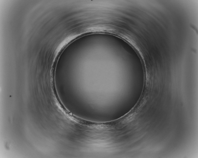 X0000101161045200807071153