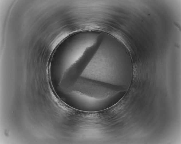 X0000101161047200807071153